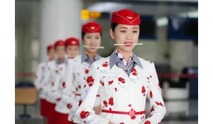 航空服务