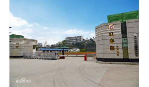 重庆市红春藤学校