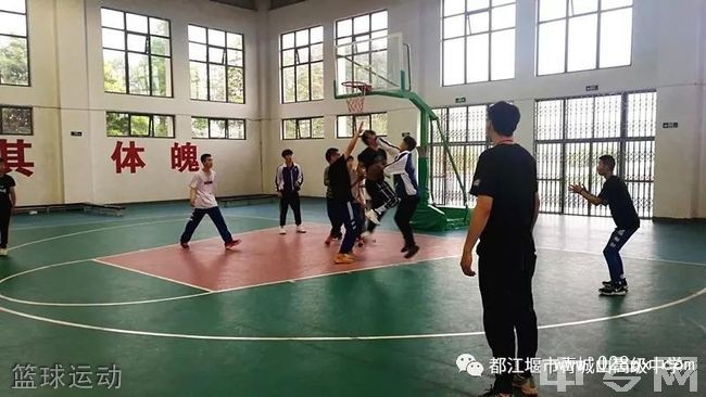 都江堰市青城山高级中学篮球运动
