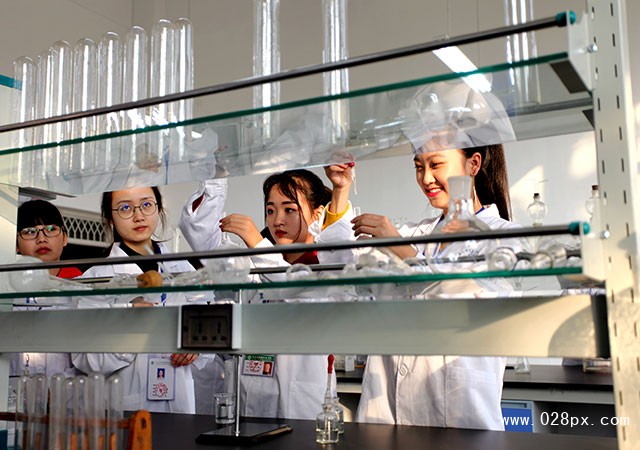 四川乐山医药科技学校成都校区图片