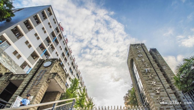 重庆城市管理学院