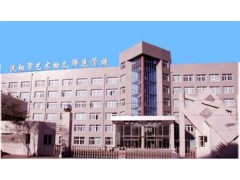 沈阳市艺术幼儿师范学校