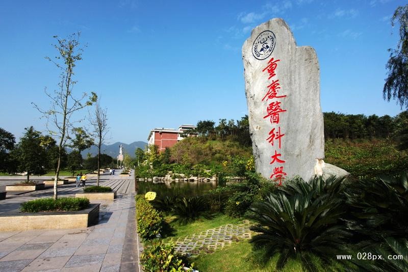 重庆医科大学录取分数线