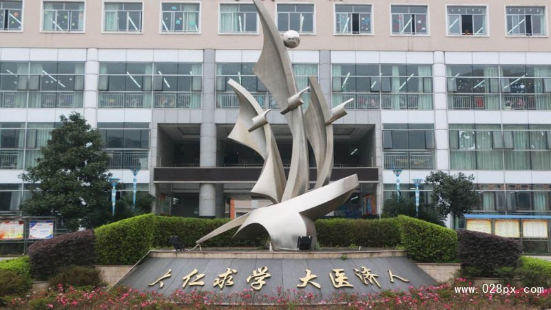 四川卫生康复职业学院官网