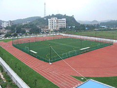 四川省体育运动学校在哪里
