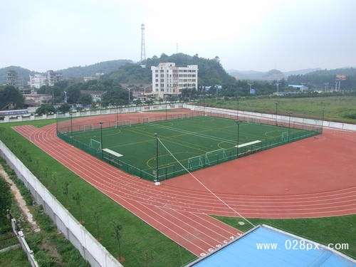 四川省体育运动学校在哪里
