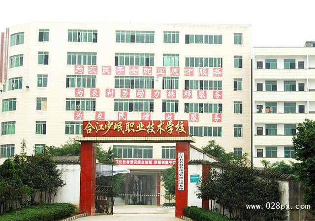 合江县少岷职业技术学校的费用是多少