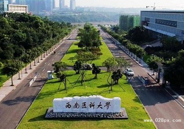 西南医科大学地址图片