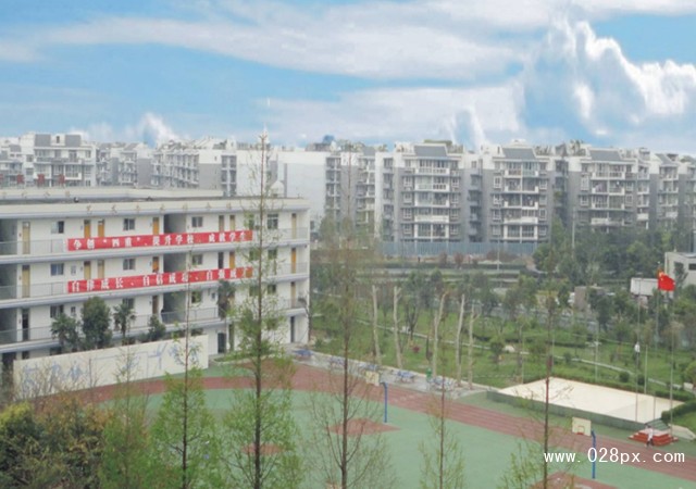 成都市洞子口职业高级中学校在哪里