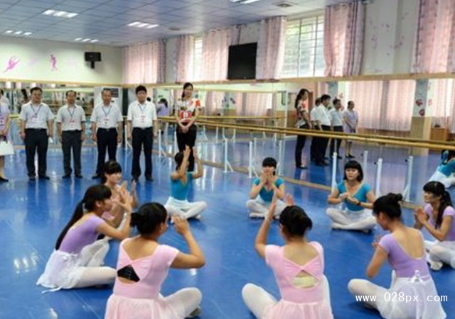 攀枝花幼师学校有哪些