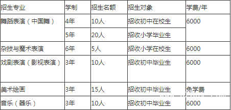 成都市文化艺术学校的费用是多少