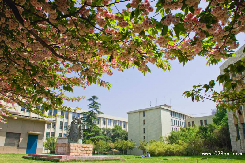 自贡市旅游职业高级中学在哪里 自贡市旅游职业高级中学在哪里