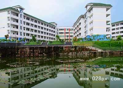 雅安公立学校 雅安公立学校