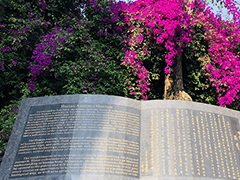 成都华大医药卫生学校是公办还是民办