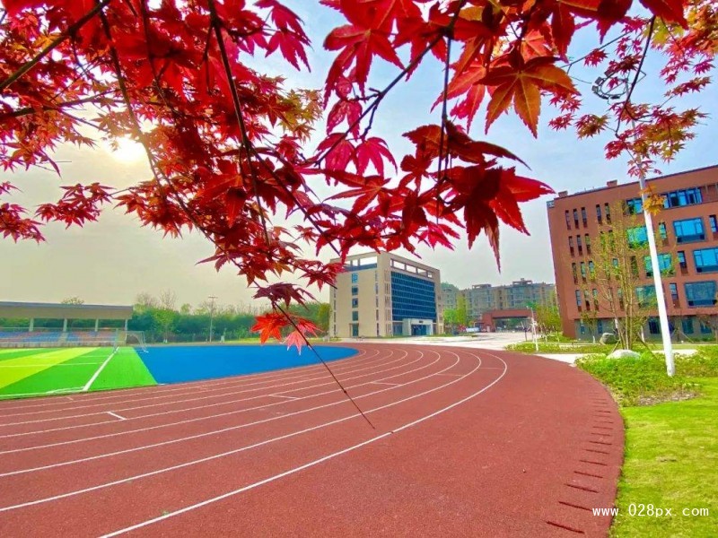 自贡市东方职业技术学校