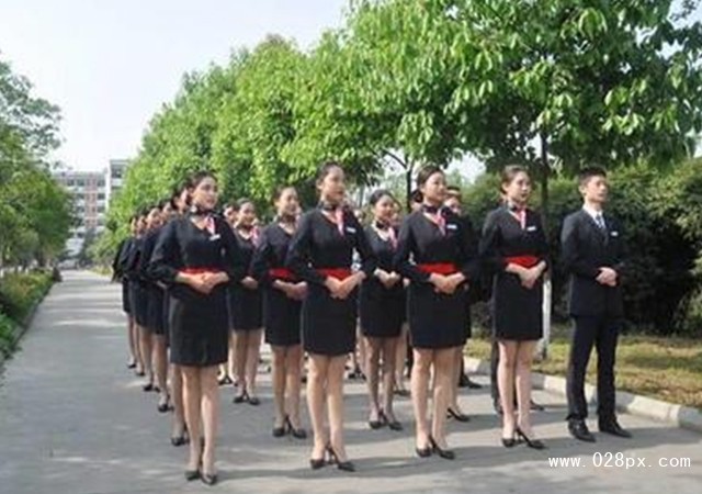 成都的空乘学校有哪些