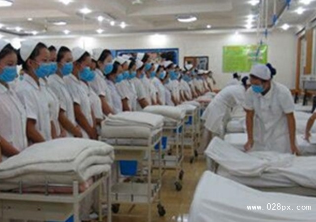 成都华大医药卫生学校在哪里