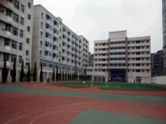 简阳公办学校