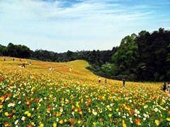 ​成都圣亚技工学校报名条件