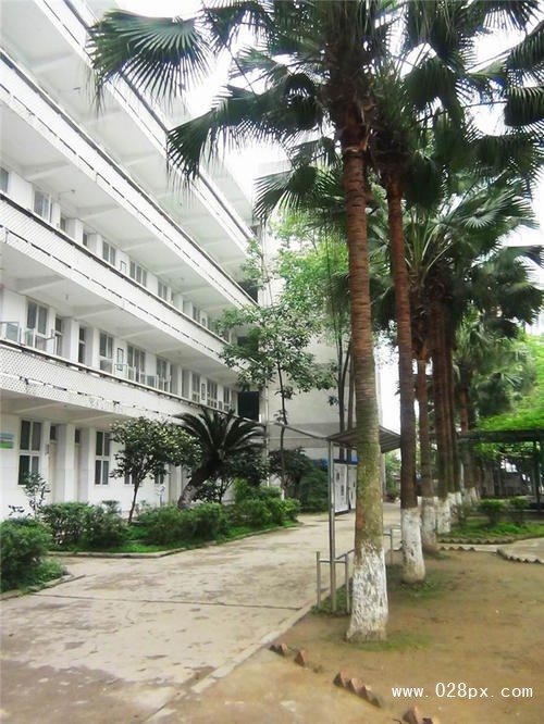 泸州市鹏程中等职业学校有哪些专业 泸州市鹏程中等职业学校有哪些专业