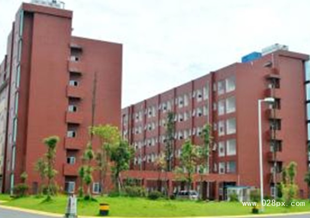 四川艺术职业学院学费多少