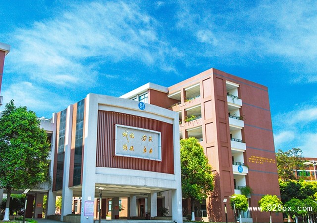 四川托普信息技术职业学院招生计划