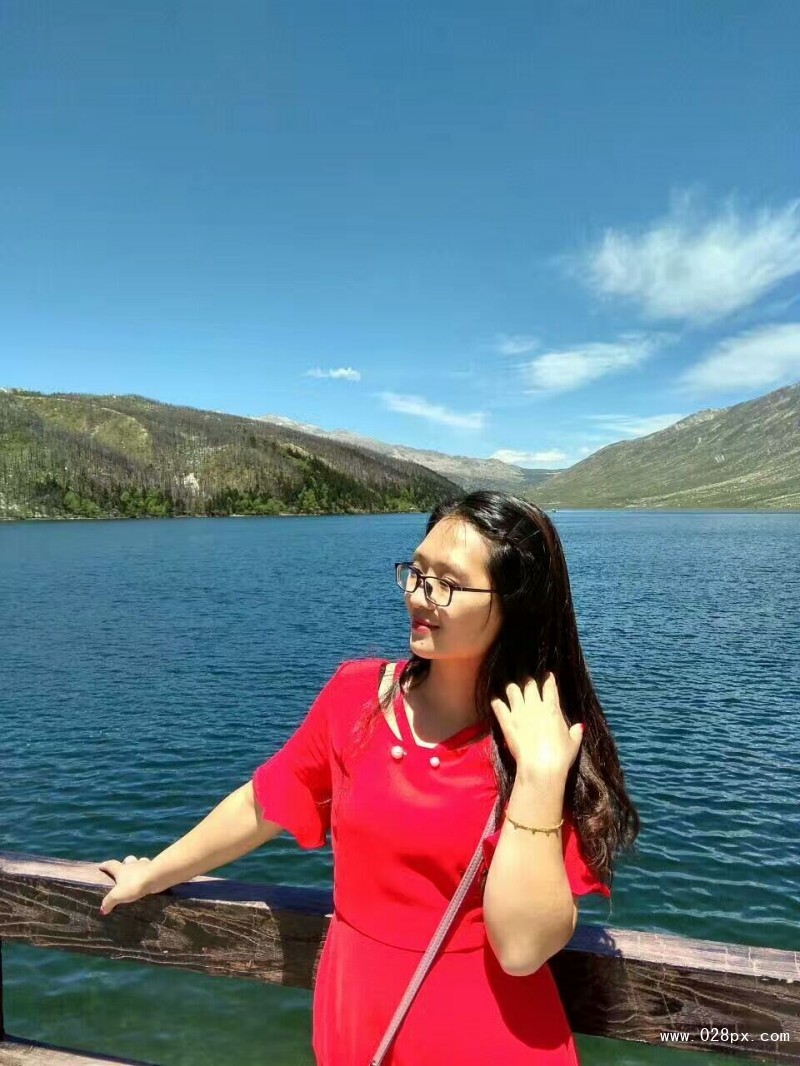 数学李老师