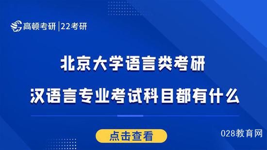 高顿考研