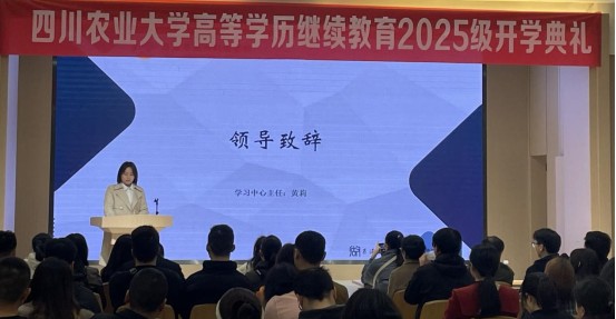 学习中心主任黄莉讲话