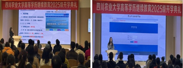 学前培训现场